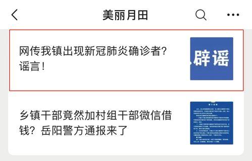 岳阳最新新闻爆料热线,揭秘城市脉搏，倾听民声心声